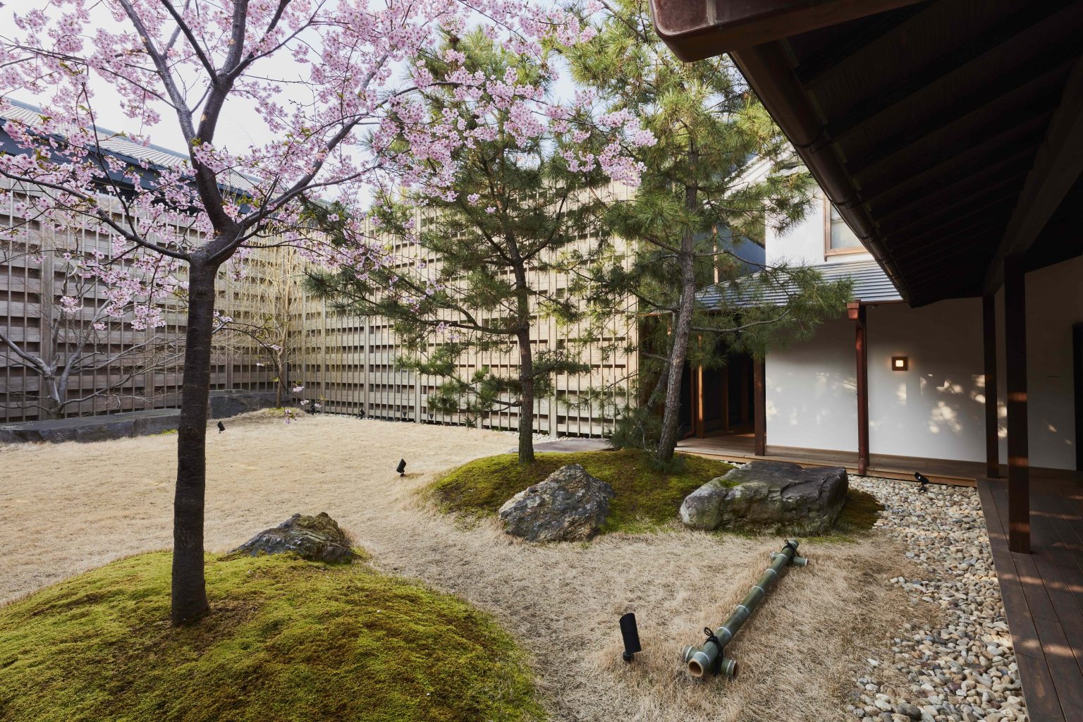 Azumi Setoda — 中庭。石と苔と季節の枝物が抑制された日本庭園