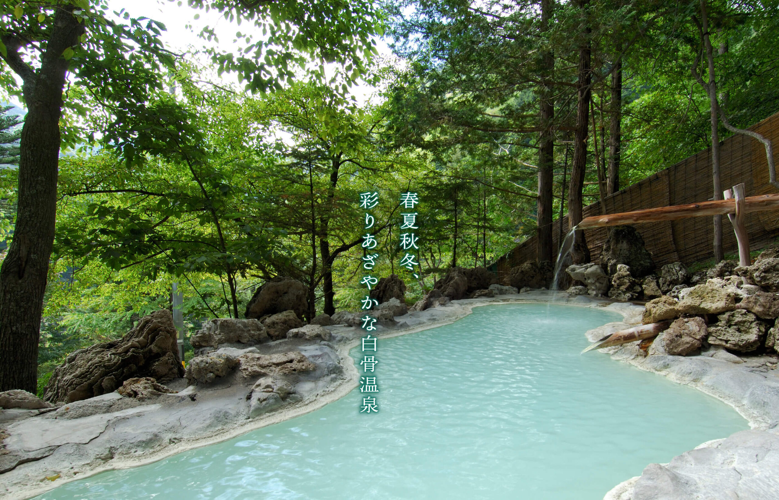 白船荘 新宅旅館 — 長野県松本市・白骨温泉 · 乗鞍火山帯の自家源泉と森に囲まれた高原温泉宿