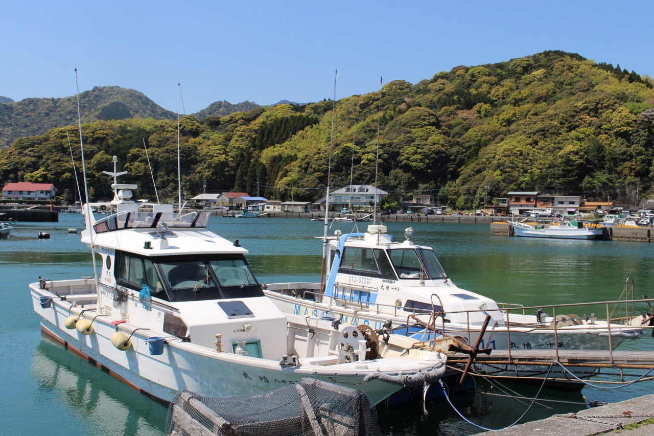 民宿 増田 — 蒲江・猪串浦 · 遊漁船を所有する湾辺の民宿、和室5室