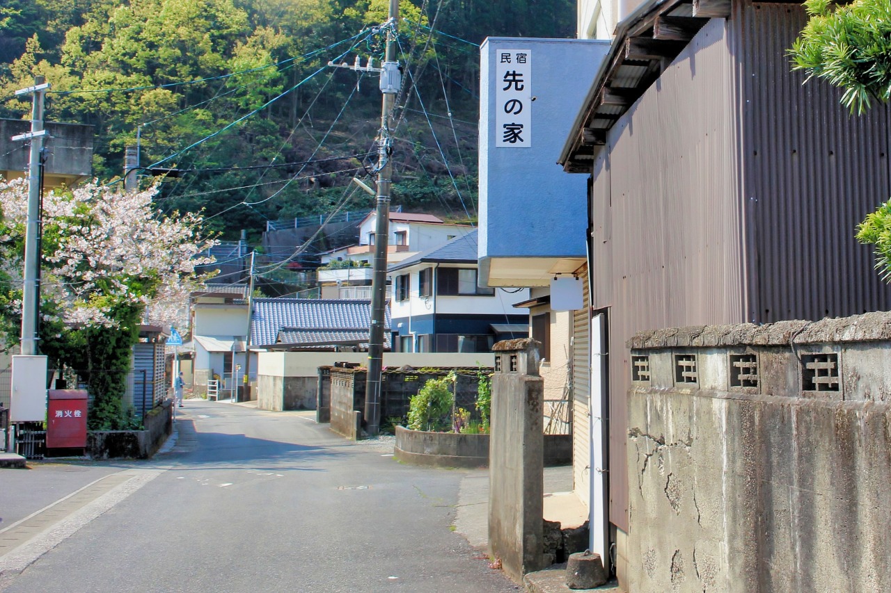 民宿 先の家 — 蒲江・畑野浦 · 湾を見下ろす和室5室、地元の旧家が営む