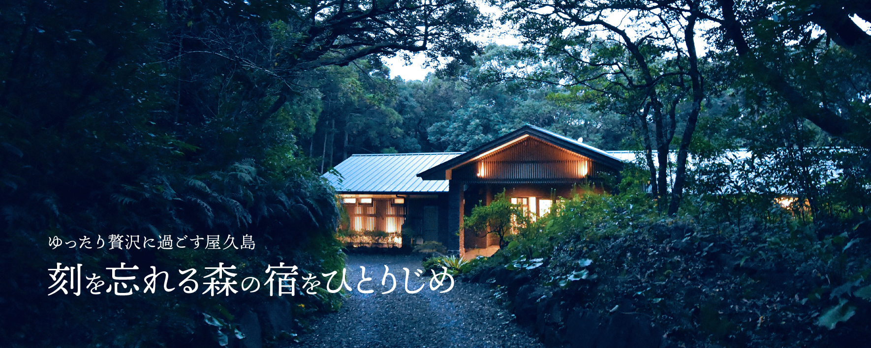 屋久島雫ノ杜 — 楠川 · 2,500坪の森に170㎡のスイートが一棟、1日1組限定の貸切宿