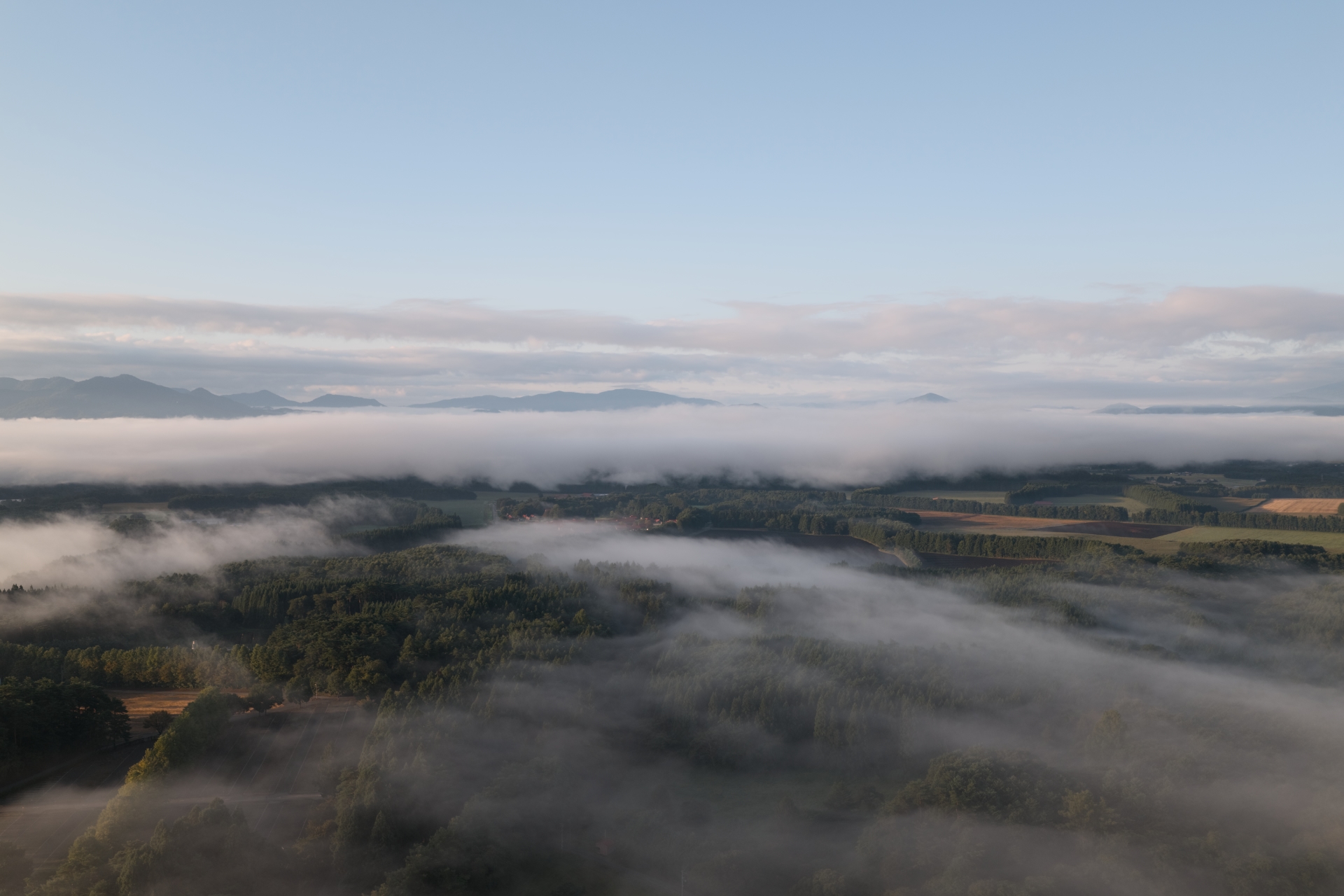 AZUMA FARM Koiwai — 岩手・雫石町 小岩井農場 · 朝霧に沈む牧草地と岩手山麓の高原