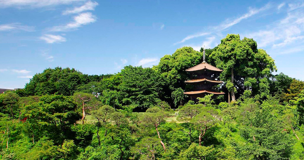 ホテル椿山荘東京 — 東京・文京 · 庭園の中の杜のリゾート、椿山荘