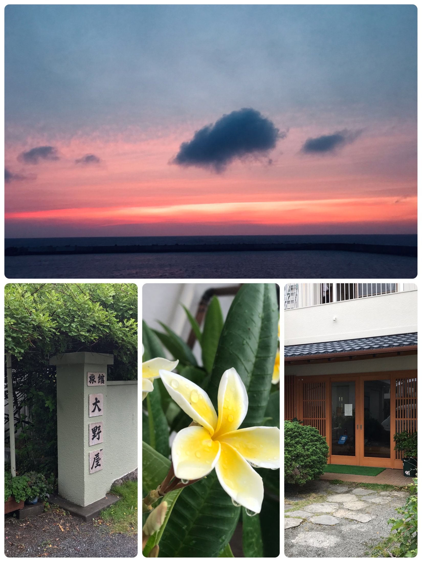 旅舘 大野屋 — 新島本村 · 港・海・羽伏浦に近く、新島の郷土料理で知られる家族経営の旅館
