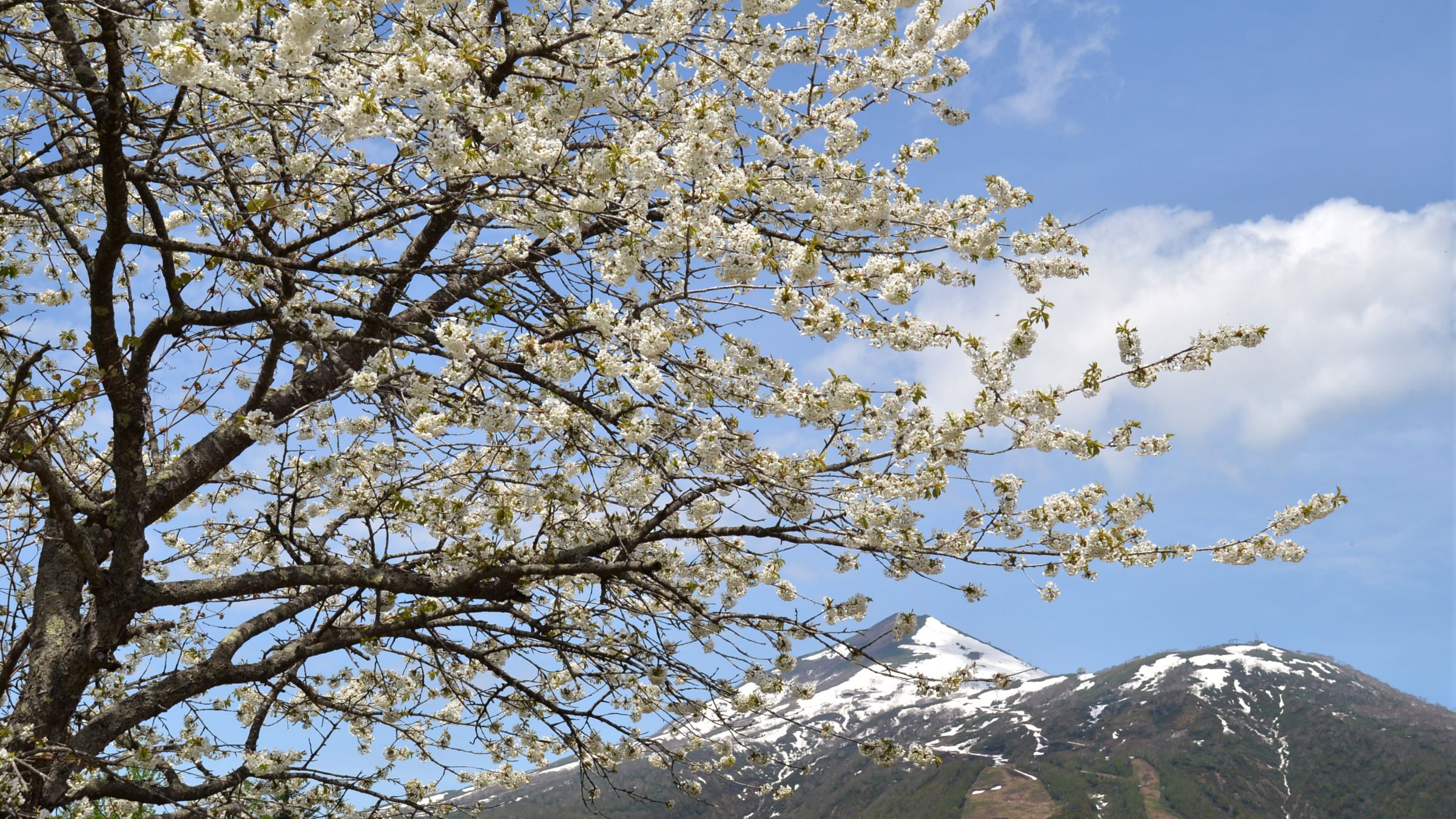 東山ニセコビレッジ・リッツ・カールトン・リザーブ — 北海道ニセコ · 羊蹄山を望む日本唯一のリザーブ・アルパインリゾート