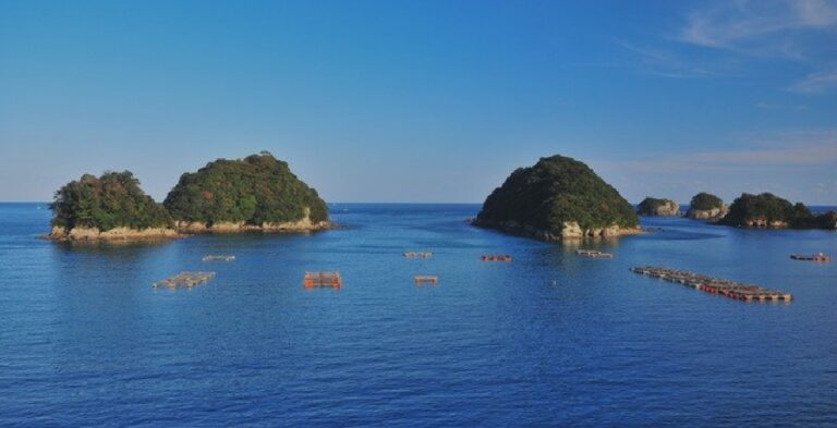 徳島南部・美波から海陽へ、四国南東の太平洋岸に開いた一棟貸し5軒
