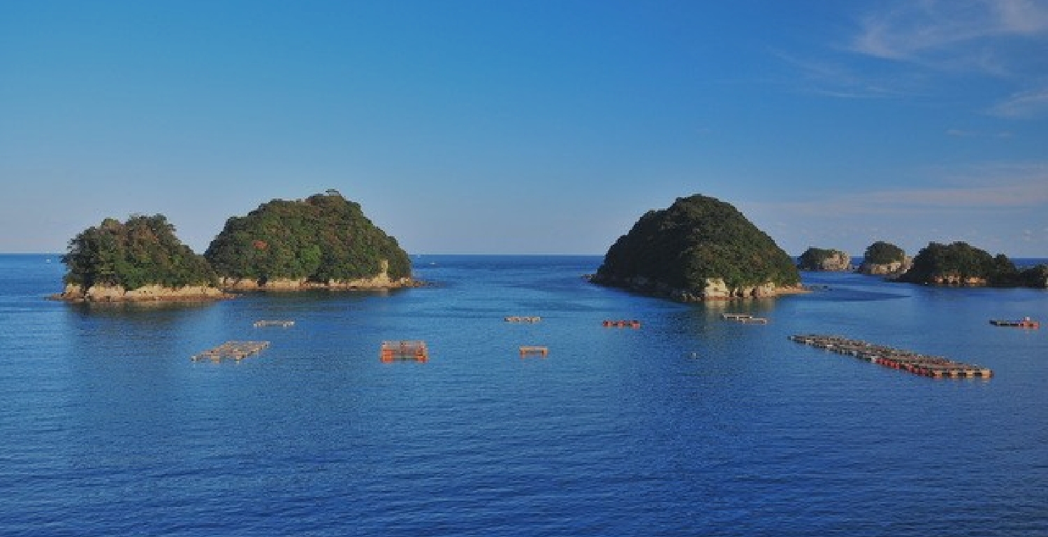 星降る別邸 WANASA — 徳島県海陽町宍喰 · 水床湾を見下ろす一棟貸しプライベートヴィラ