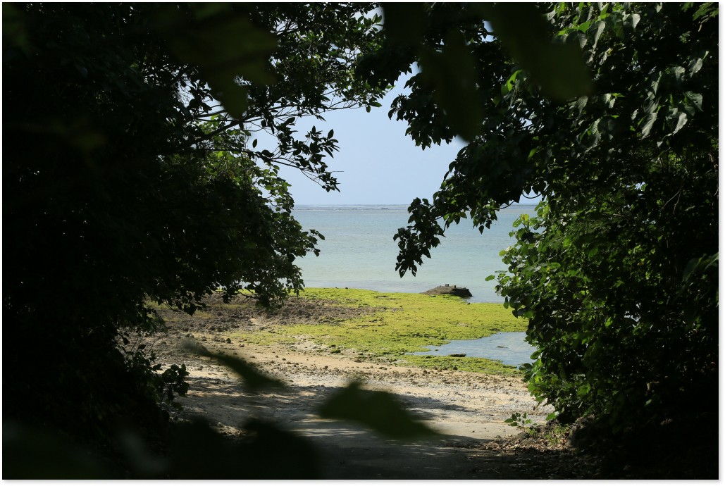 Haruhoo Resort ISHIGAKI — 石垣島・宮良 · 全室が宮良のリーフを望み、屋上に水平線を見渡すジャグジーを備える一棟貸しリゾート