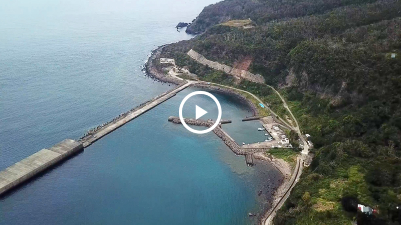 海游倶楽部 — 十島村中之島高尾地区・御岳西麓に位置するトカラ列島の小規模民宿