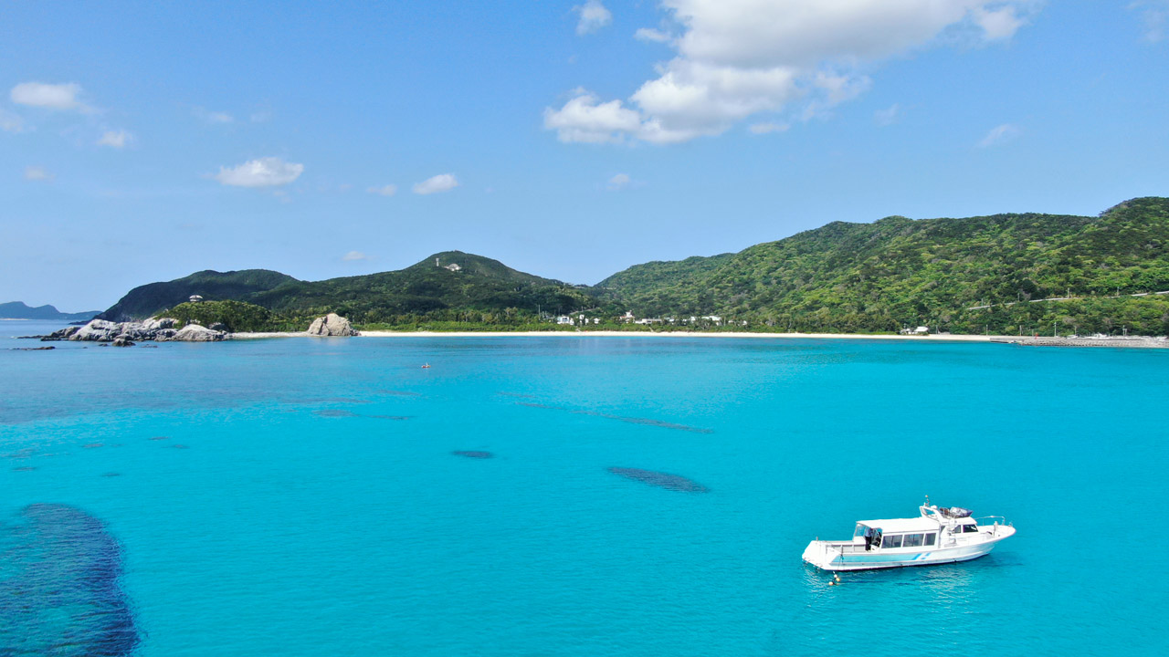 シーフレンド — 渡嘉敷島・阿波連 · 1985年創業、ケラマブルーの海を望むダイビング宿
