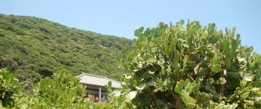 岬観光ホテル — 高知県室戸市室戸岬町 · 登録有形文化財に指定された海岸線最南端の11室