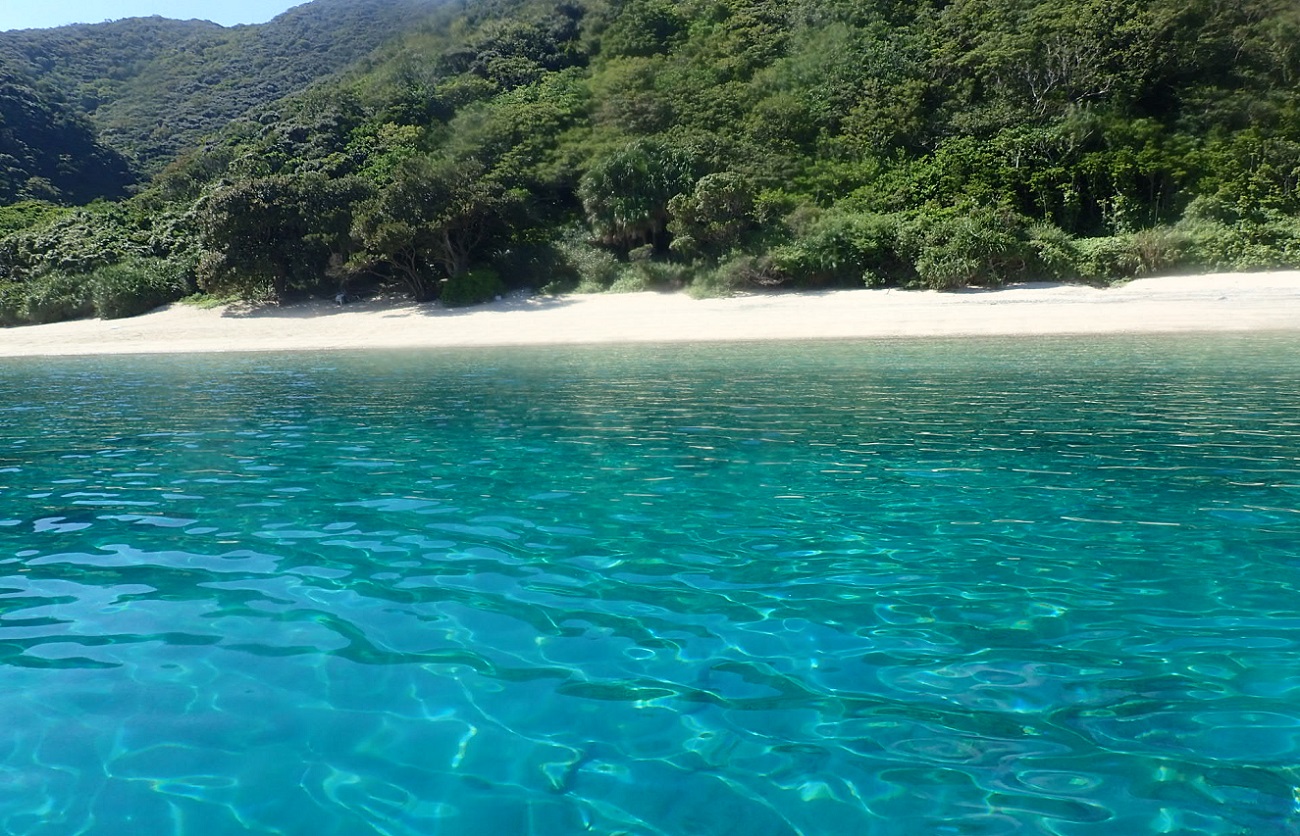 ビーチフロントヴィラ アマミ — 龍郷町龍郷 · 龍郷湾の渚に面した真水プール付きの一棟貸しヴィラ