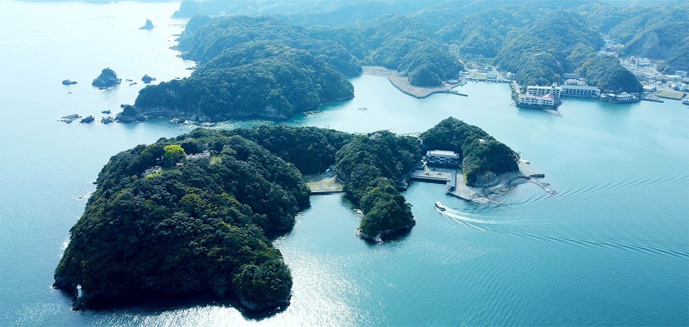 碧き島の宿 熊野別邸 中の島 — 和歌山県那智勝浦町 · 勝浦湾に浮かぶ島全体を敷地とする温泉宿を空から望む