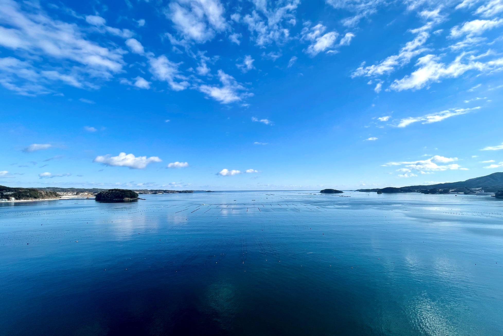 南三陸ホテル観洋から望む志津川湾、養殖筏の並ぶ穏やかな海景