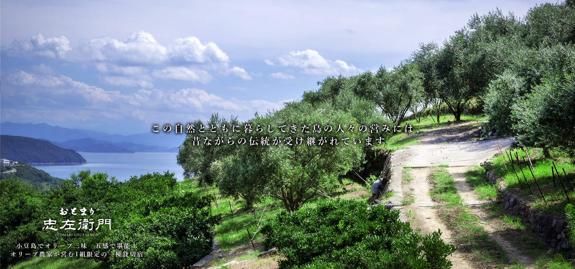 お泊り忠左衛門 吉野 — 小豆島・吉野 · オリーブ農家が営む一日一組の一棟貸し、棚畑と瀬戸内海の斜面