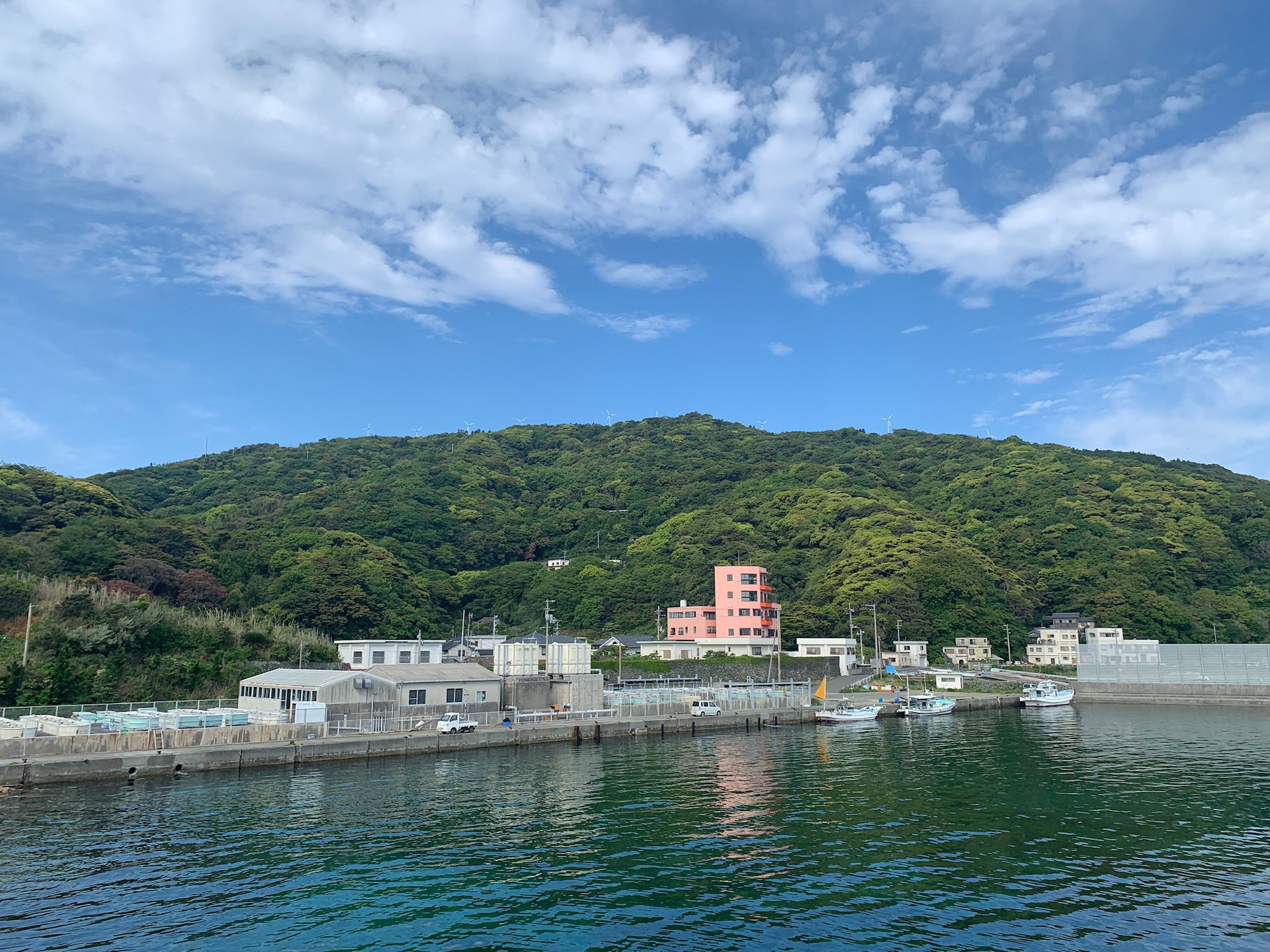 民宿大岩 — 愛媛県伊方町正野・佐田岬突端三キロ圏の海鮮料理宿、活しゃぶしゃぶと灯台クルーズの宿泊プランを提供