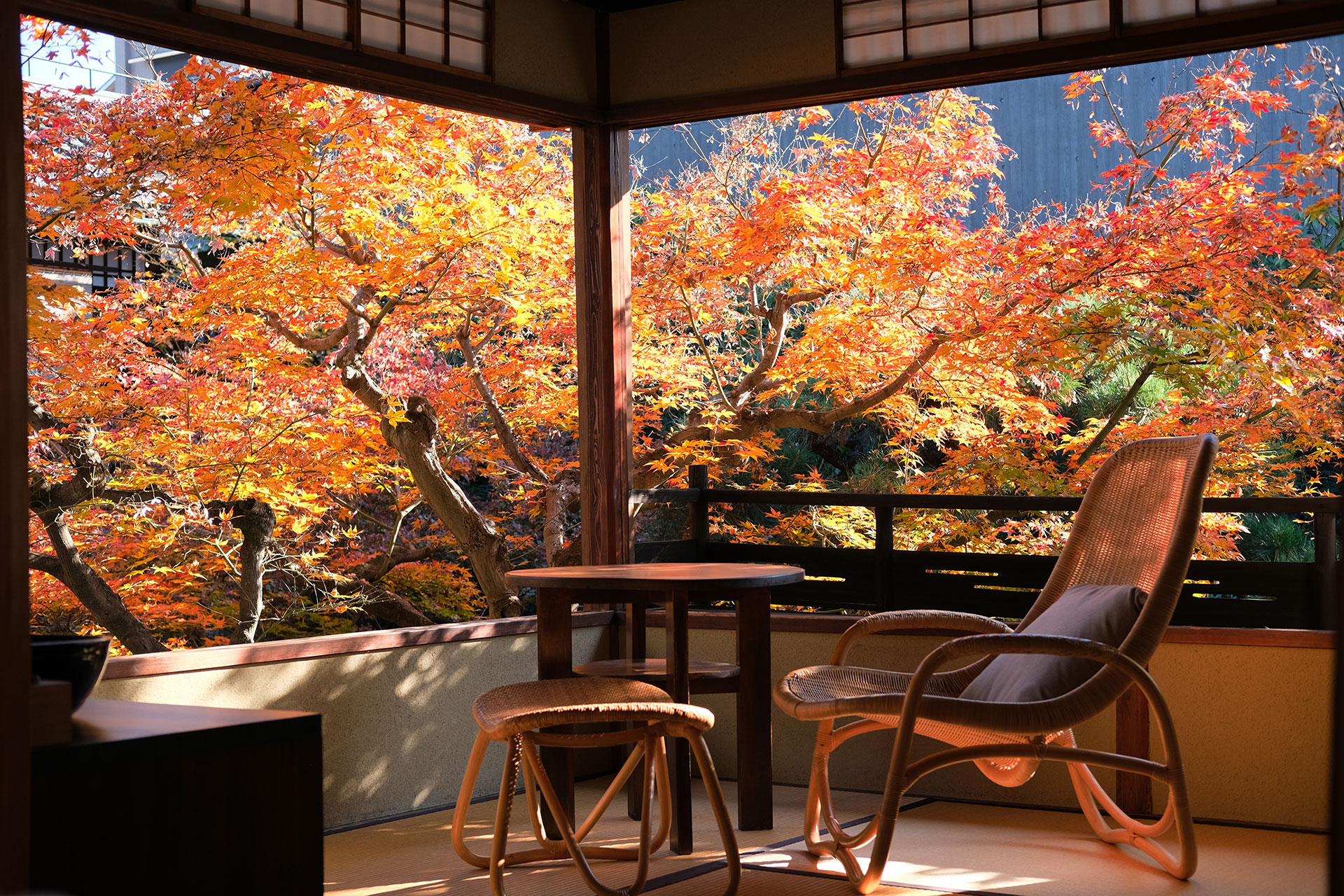 そわか（SOWAKA） — 京都・祇園八坂 · 紅葉に面した縁側のテラス席
